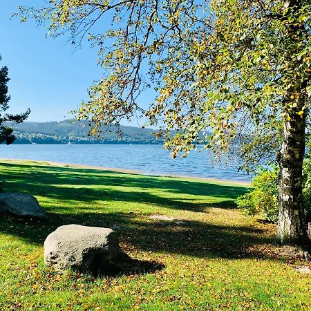Riviera Lipno 502 Apartman 4Kk U Vody Lipno nad Vltavou Luaran gambar